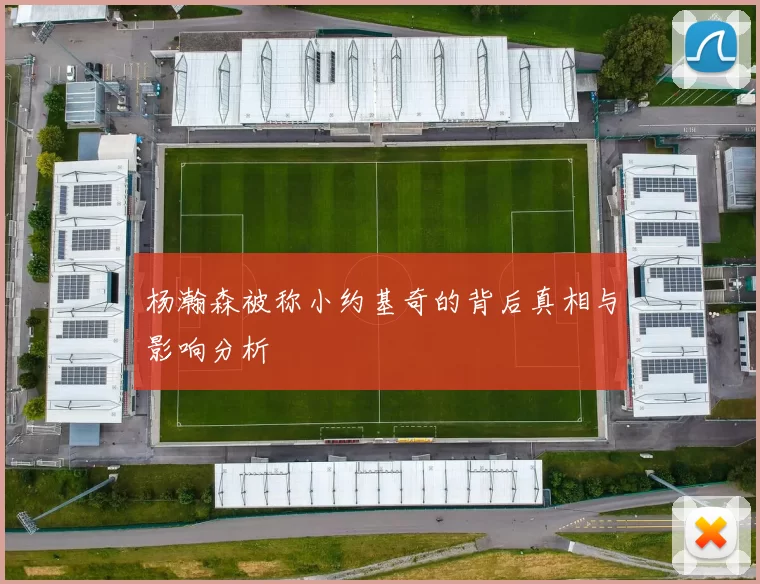 杨瀚森被称小约基奇的背后真相与影响分析